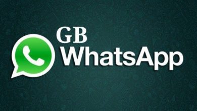 Télécharger Whatsapp GB Nouvelle Version 2025 APK (GB Whatsapp Pro APK) 29 WhatsApp GB Nouvelle Version 2025 APK