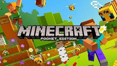 Minecraft Pocket Edition APK OBB