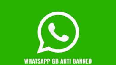 Télécharger GB WhatsApp Apk 2024 Gratuitement 53 Télécharger GB WhatsApp Apk 2024
