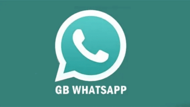 Télécharger GB WhatsApp Apk 2025 v30.36 Gratuitement - Dernière Version 33 GB WhatsApp Apk 2025